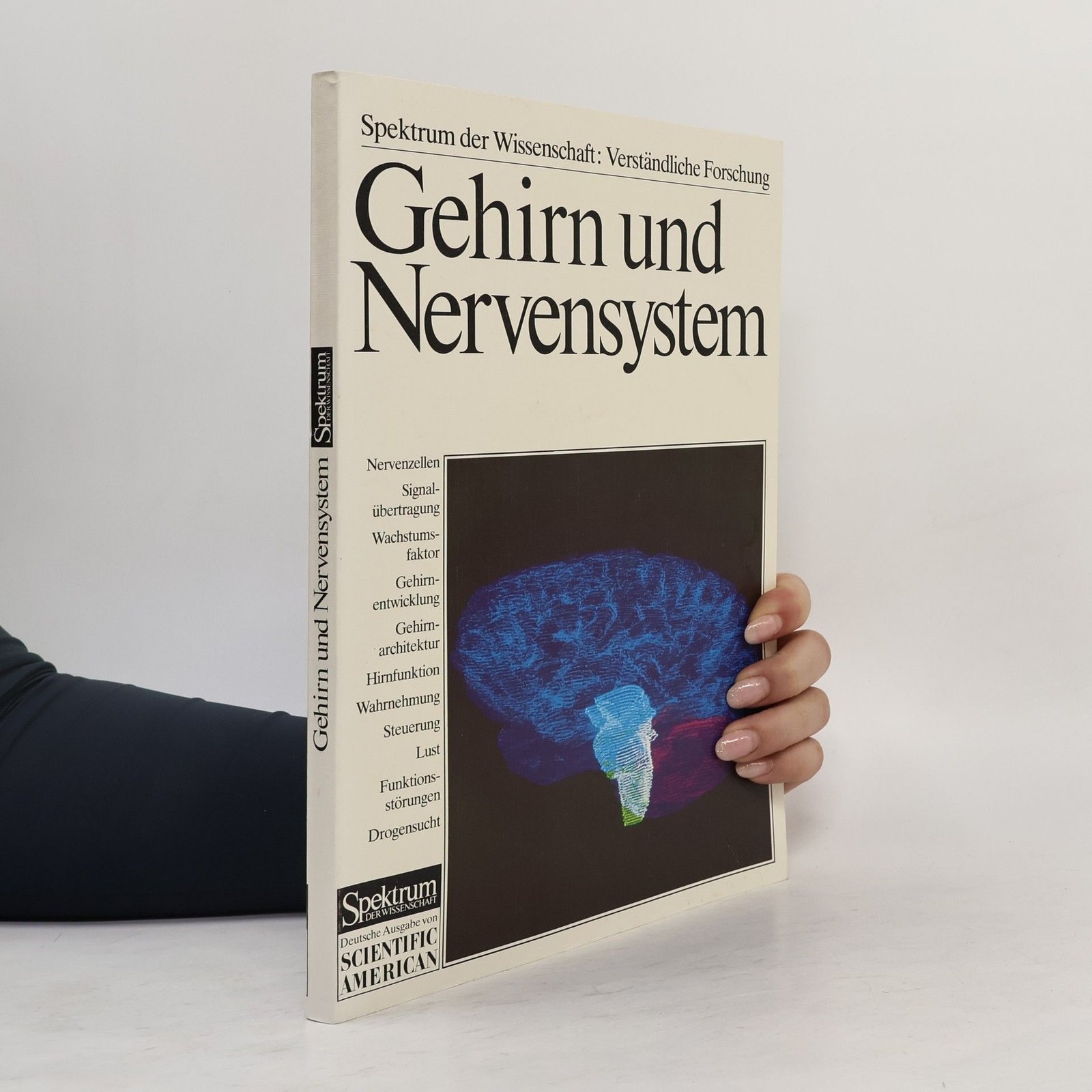 spektrum der wissenschaft