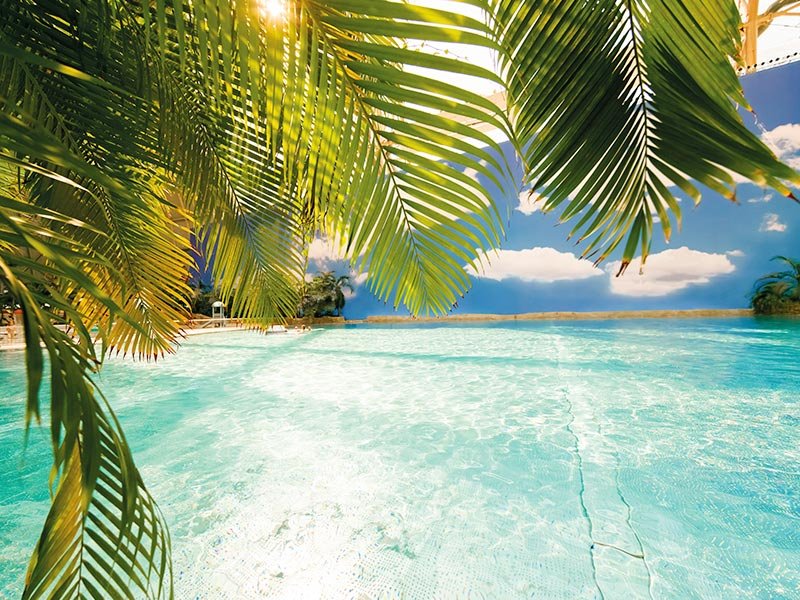 tropical island