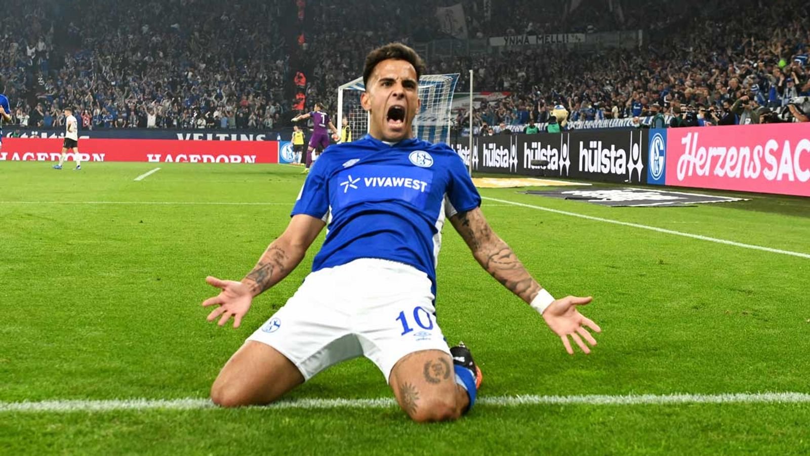 teilnehmer: schalke spiele